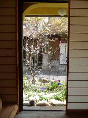 P1090661.JPG